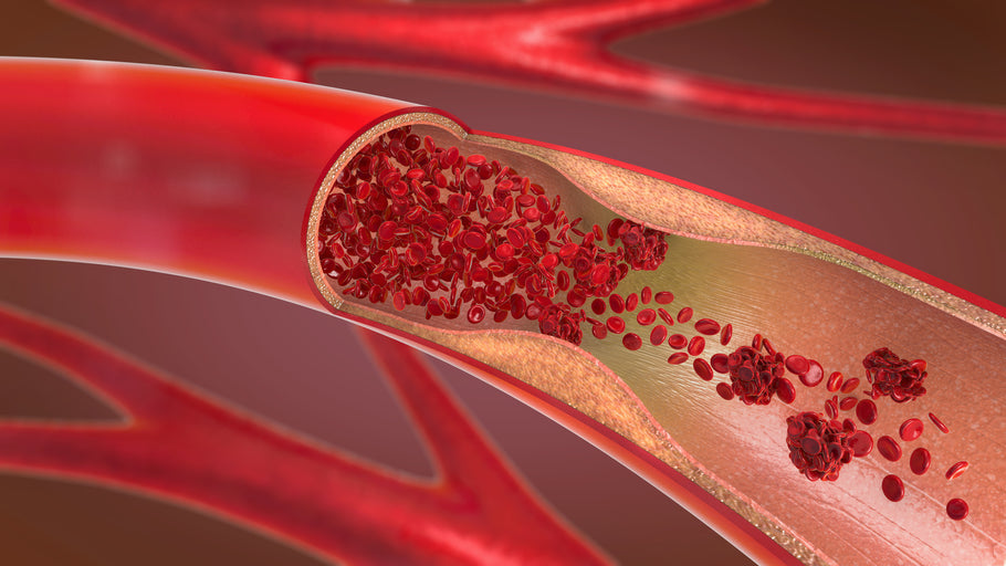 Clinical Trial Shows NMN Reverses Blood Vessel Aging in Middle-Aged Adults